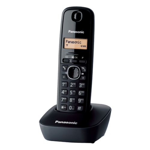 PANASONIC Telefoni Fiksni bezicni KX-TG1611FXH slika 1