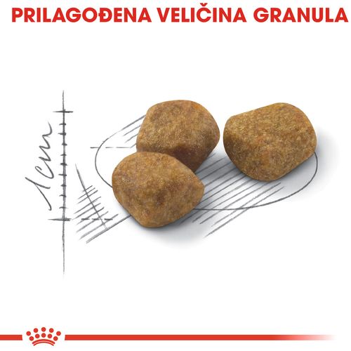 ROYAL CANIN FHN Indoor 7+, potpuna i uravnotežena hrana za odrasle mačke starije od 7 godina koje žive u kući, 400 g slika 8