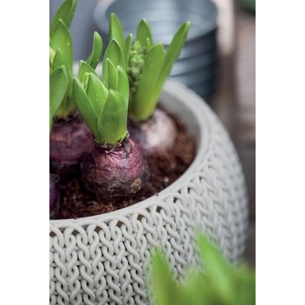 Keter saksija viseca siva 36x36x22cm COZY KETE slika 3