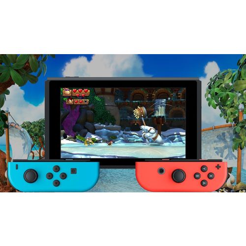 SWITCH DONKEY KONG COUNTRY FREEZE slika 2