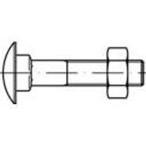 TOOLCRAFT TO-5448261 plosnati okrugli vijak M5 60 mm kvadratni DIN 603 mjed 100 St.