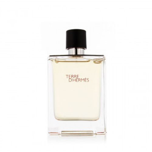 Hermès Terre D'Hermès Eau De Toilette 100 ml (man) slika 1