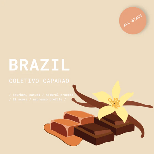 GOAT Story, Brazil Coletivo Caparaó kava, Cold Brew, 250g slika 1