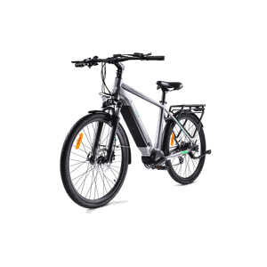 MS ENERGY eBike c101