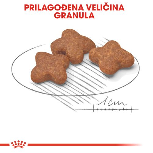 ROYAL CANIN SHN Mini Adult 8+, potpuna hrana za starije pse malih pasmina (do 10 kg) starijie od 8 godina, 8 kg slika 6