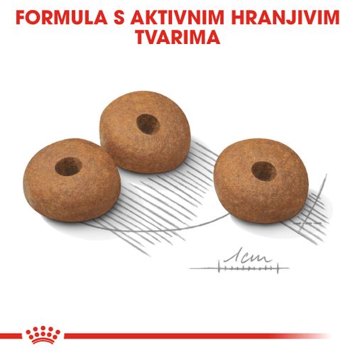 ROYAL CANIN CCN Mini Light Weight Care, potpuna hrana za pse - Za odrasle i starije pse malih pasmina (od 1 do 10 kg) - Stariji od 10 mjeseci - Psi skloni prekomjernoj tjelesnoj težini, 1 kg slika 7