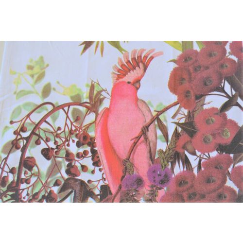 Kuhinjska krpa print Parrot1 45x70cm 3229 slika 1