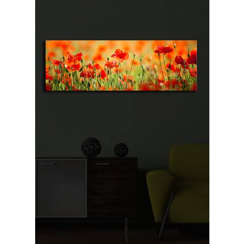 3090İACT-13 Multicolor Decorative Led Lighted Canvas Painting slika 1