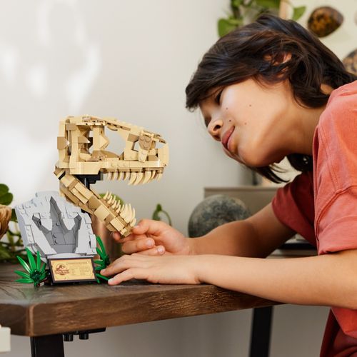 LEGO® JURASSIC WORLD™ 76964 Fosili dinosaura: T. rexova lubanja slika 1