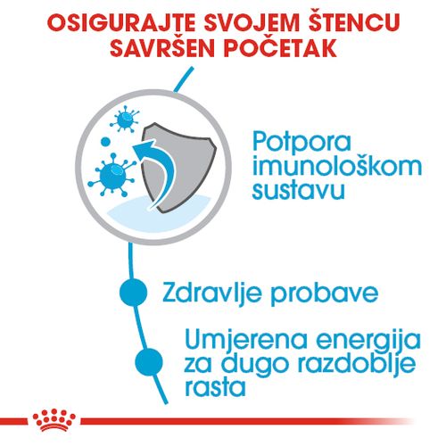 ROYAL CANIN SHN Maxi PUPPY, potpuna hrana za pse, specijalno za štence velikih pasmina (konačne težine od 26 do 44 kg)  do 15 mjeseci starosti, 1 kg slika 4