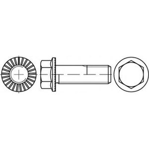 TOOLCRAFT TO-5444538 vijak s šesterokutnom glavom M12 40 mm vanjski šesterokutni 88913 100 St.