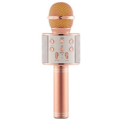 Karaoke mikrofon Ws-858 slika 1