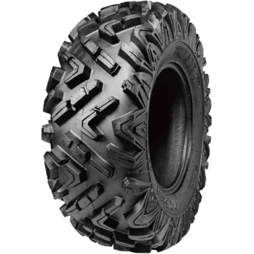 28X10R14 BRUISER AR68 8PR TL slika 1