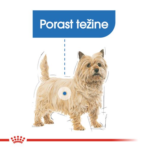 ROYAL CANIN CCN Mini Light Weight Care, potpuna hrana za pse - Za odrasle i starije pse malih pasmina (od 1 do 10 kg) - Stariji od 10 mjeseci - Psi skloni prekomjernoj tjelesnoj težini, 3 kg slika 5