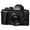 DSLM Mirrorless fotoaparati