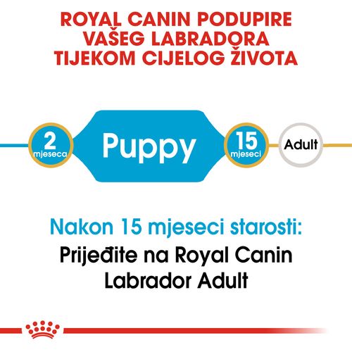 ROYAL CANIN BHN Labrador Retriever Puppy, potpuna hrana za štenad labrador retrievera do 15 mjeseci starosti, 3 kg slika 8