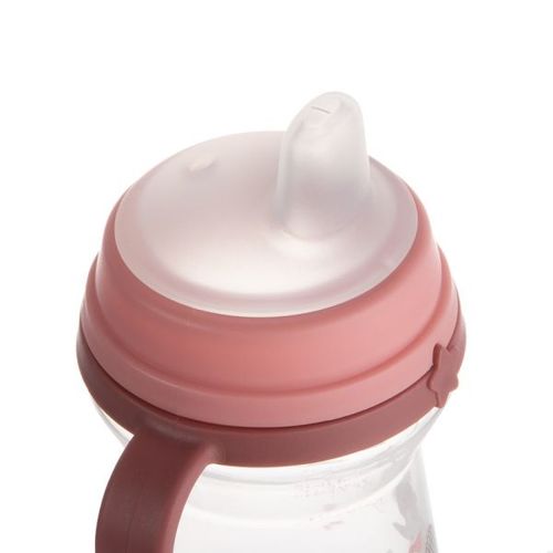 Canpol Babies Šolja Bonjour Paris 250Ml Sa Silikonskim Kljunom (56/613) - Pink slika 3