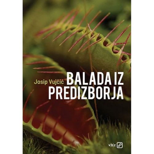 Balada iz predizborja  slika 1