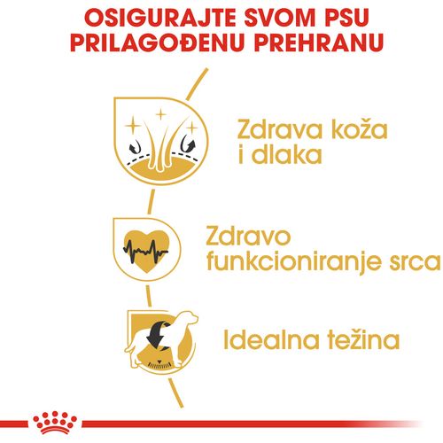 ROYAL CANIN BHN Golden Retriever Adult, otpuna hrana specijalno prilagođena potrebama odraslih i starijih golden retrivera, 12 kg slika 6