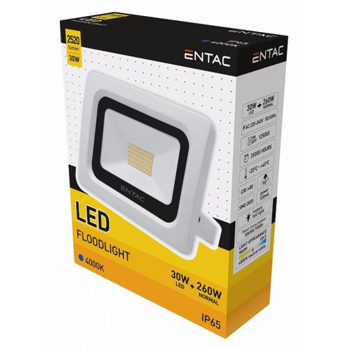 Entac reflektor LED SMD 10W NW slika 1