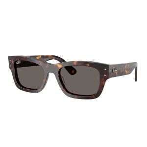 naočale Ray Ban Ray Ban RB7683S Tortoise