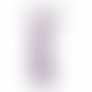 Satisfyer - Pro 2 zračni pulsni stimulator Violet