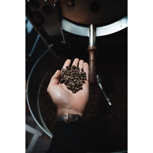 GOAT Story, DECAF | Brazil Fazenda Sao José kava, Integralno zrno, 500g slika 4