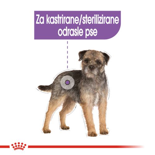 ROYAL CANIN CCN Mini Sterilised, potpuna hrana za pse - Za kastrirane/sterilizirane odrasle pse malih pasmina (od 1 do 10 kg) - Stariji od 10 mjeseci - Psi skloni prekomjernoj tjelesnoj težini, 1 kg slika 5