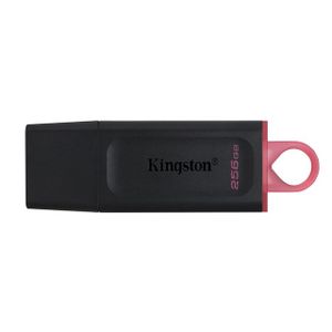 Kingston MEM UFD 256GB DTX KIN