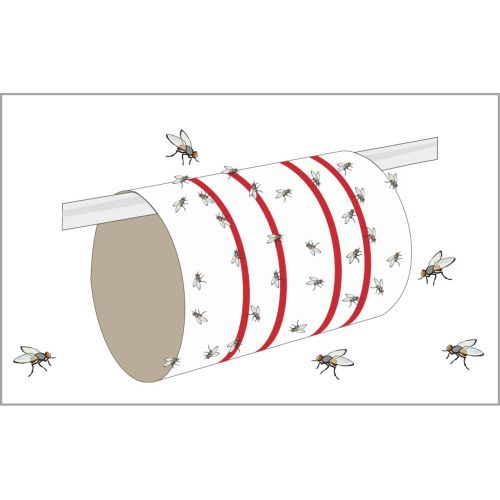 Redtop  Fliegenbogen  31091  ljepljiva folija, privlačenje  zamka za muhe    (D x Š) 600 mm x 345 mm  žuta  6 St. slika 2