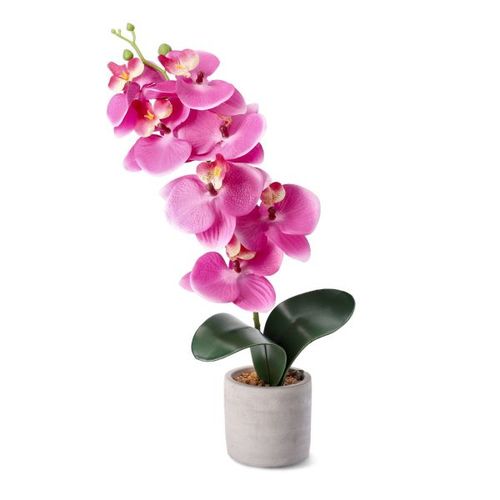 Cvet u saksiji ORCHID 9x8x49cm - Pink - HML slika 1