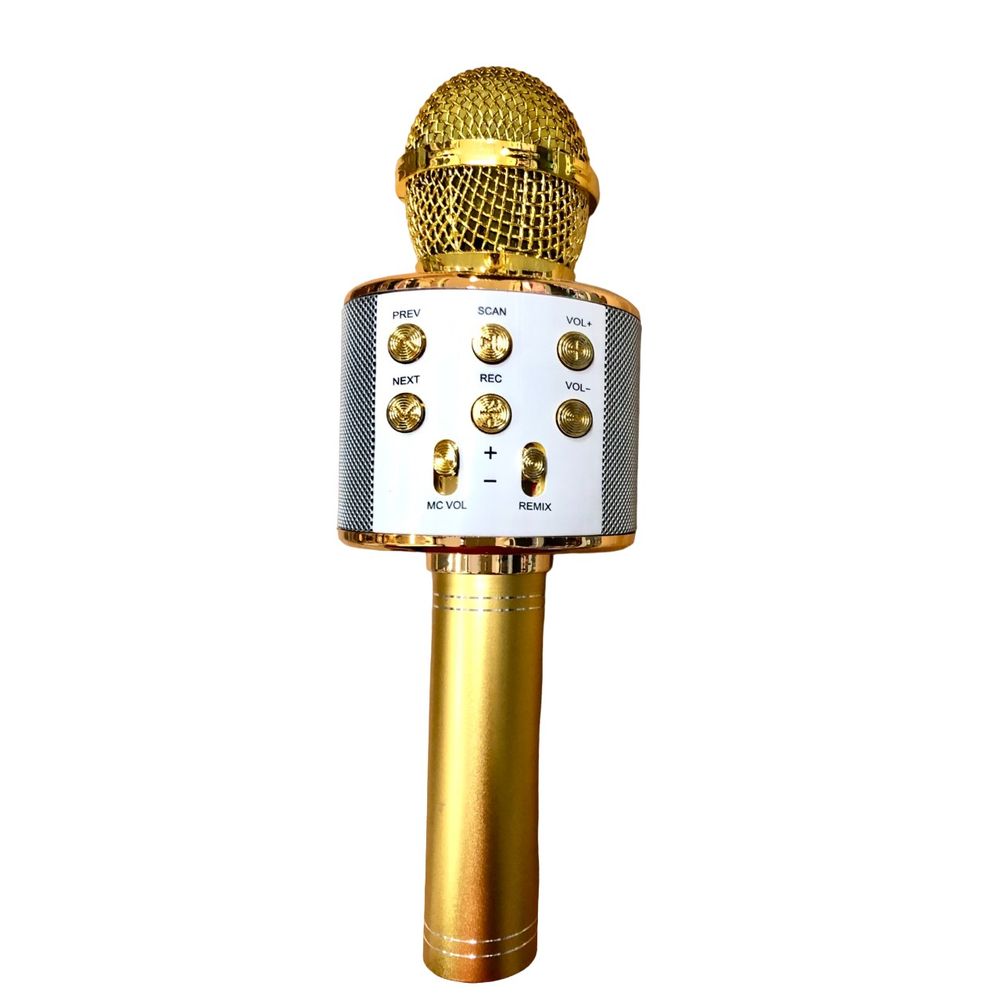 Mikrofon Super Star WS 858 slika 2