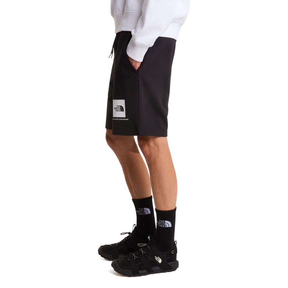 The North Face Muški šorc M BOX NSE Light Regular Shorts slika 2