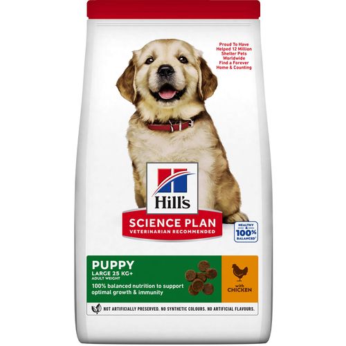 Hill's SCIENCE PLAN PUPPY Large Breed Hrana za Pse s Piletinom, 2,5kg slika 3