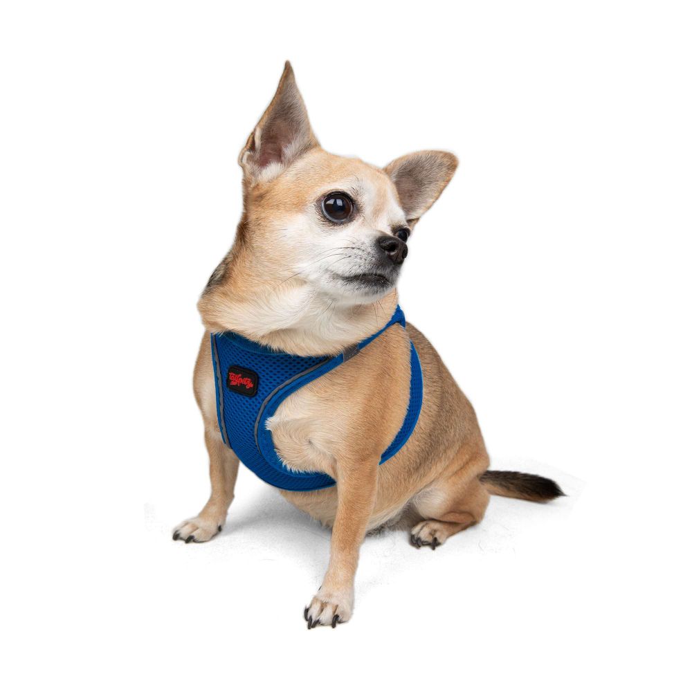 Air-Mesh - Sax Blue Sax Blue Dog Harness slika 3