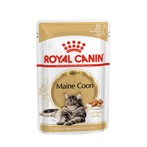 ROYAL CANIN FBN Maine Coon, potpuna i uravnotežena mokra hrana u umaku za mačke, specijalno za odrasle mačke pasmine Maine Coon starije od 15 mjeseci, 12x85 g