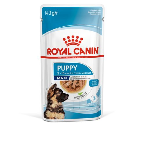 ROYAL CANIN SHN Maxi PUPPY vrećice za pse, potpuna hrana za pse, specijalno za štence velikih pasmina (konačne težine od 26 do 44 kg), do 15 mjeseci starosti, 10x140 g slika 1