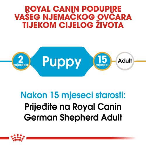 ROYAL CANIN BHN German Shepherd Puppy, potpuna hrana posebno namijenjena štencima pasmine njemački ovčar, 12 kg slika 8