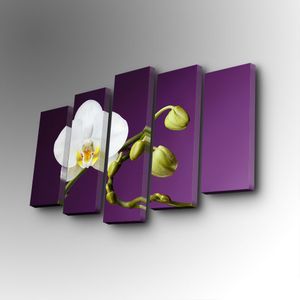 5PUC-112 Multicolor Decorative Canvas Painting (5 Pieces)