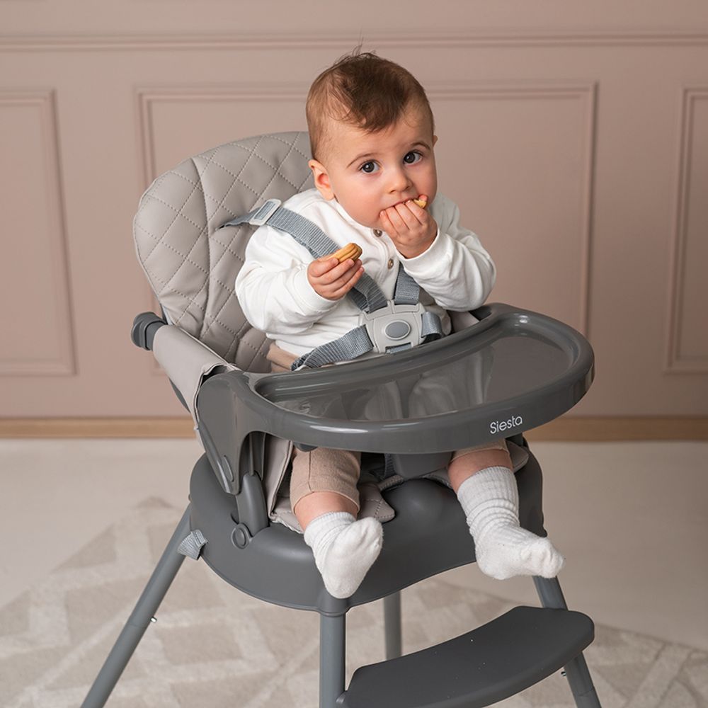 Lorelli Hranilica Siesta 3U1, Grey Leather slika 9