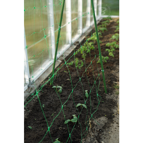 Mreža za potporu penjačkim biljkama Plant Net 2x10m slika 4