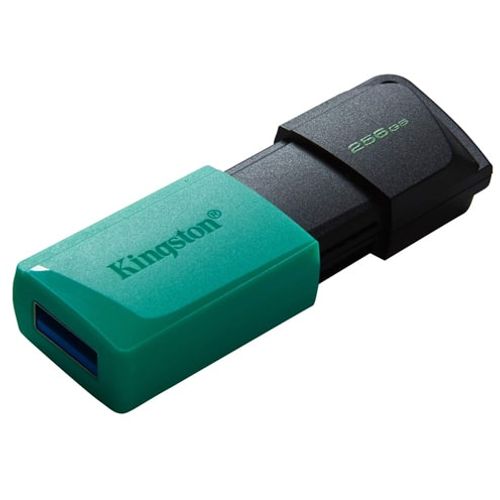 USB memorija KINGSTON DTXM 256GB slika 2