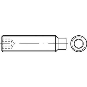 TOOLCRAFT TO-5414670 navojni zatik M12 20 mm 100 St.