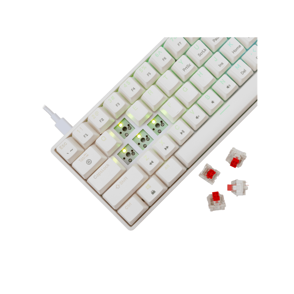 WHITE SHARK Mehanička tastatura GK-004211 SHINOBI-2 / US, crveni prekidači slika 3