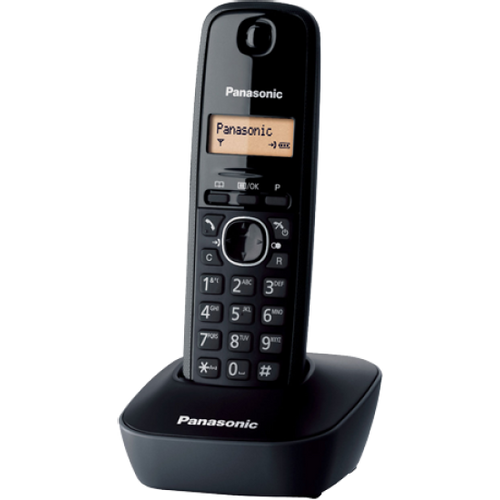 PANASONIC Telefoni Fiksni bezicni KX-TG1611FXH slika 1