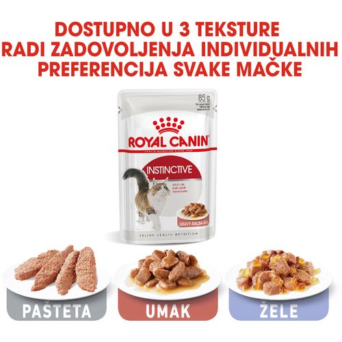 ROYAL CANIN FHN Instinctive Gravy, potpuna hrana u vrećici za  odrasle mačke, komadići u umaku, 12x85 g slika 3