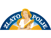 Zlato polje 