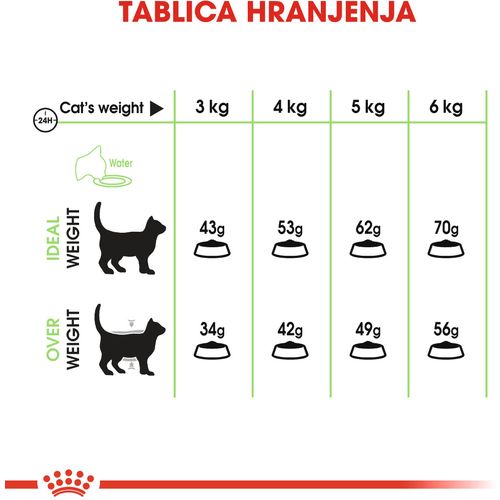 ROYAL CANIN FCN Digestive Care, potpuna i uravnotežena hrana za odrasle mačke s probavnim smetnjama, 2 kg slika 5