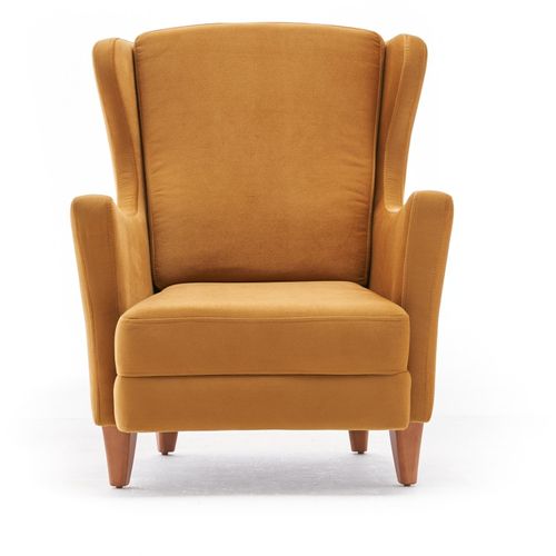Lola Berjer - Gold Gold Wing Chair slika 5