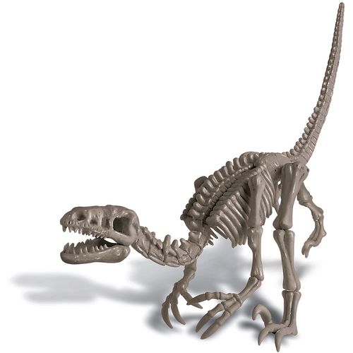 Dinosaur Velosiraptor slika 2